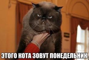 Фишкина солянка за 19.10.2014