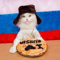 Картинки со смешными подписями