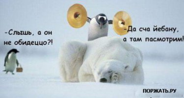 Фотоподборка за 15.01.2015
