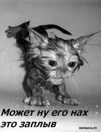 Аквариум в стиральной машине