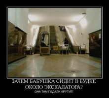Домик для друга или будка