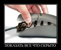 Домик для друга или будка