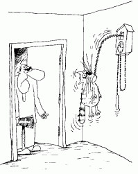 10 дурацких, но забавных товаров для животных