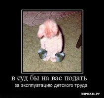 Фотоподборка за 02.02.2015