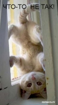 Фотоподборка за 02.02.2015