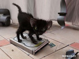 Фотоподборка за 02.02.2015