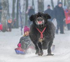 Фотоподборка за 04.02.2015