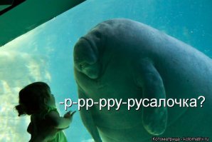 Фотоподборка за 04.02.2015