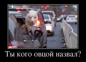 Подборка автоприколов. Часть 196