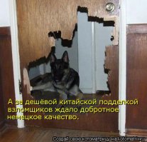 Фотоподборка за 13.02.2015