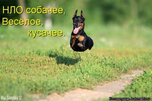 Фотоподборка за 13.02.2015