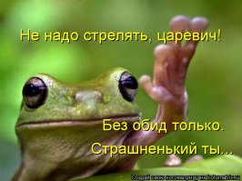 Фотоподборка за 13.02.2015