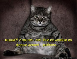 Фотоподборка за 13.02.2015