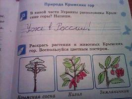 Мгновения войны за Новороссию