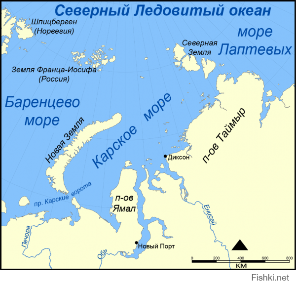 Всем торговцам-смертная казнь, употребляющим-принудительное лечение с самообеспечением на Новой земле.