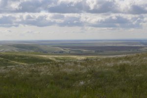Оренбургские степи которым не ни начала ни конца.Степь может быть разнообразной и всегда прекрасной ,только в степи ты себя ощущаешь по истине свободным и вольным человеком!