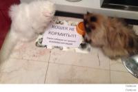 А продолжение было таким