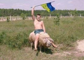 Перепись укропитеков. Часть 7