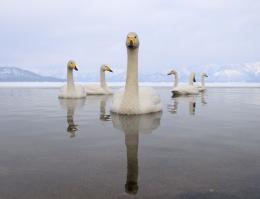 Фотоподборка за 20.10.2014