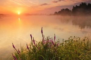 Фотоподборка за 31.10.2014