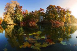 Фотоподборка за 31.10.2014