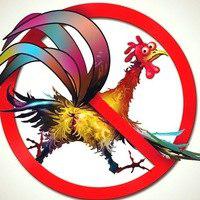 Луганск, 03.11.2014