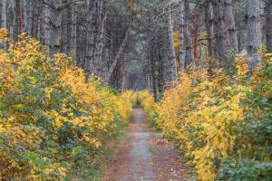 Фотоподборка за 13.11.2014