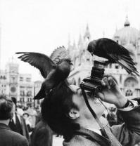 Фотоподборка за 18.11.2014