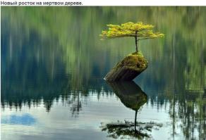 Фотоподборка за 26.11.2014