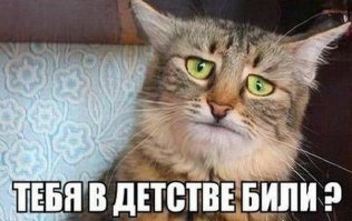 Это полный и бородатый п.....ц