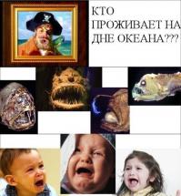 Самые страшные в мире морские существа