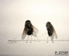 Когда в офисе становится скучно!))