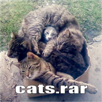 Кошки в упаковке