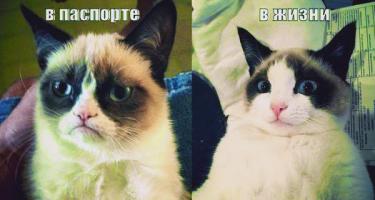  Паспорт и реальность
