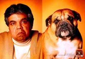 Хозяева и их собаки  