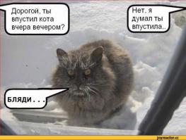 Адские коты, являющиеся истинным воплощением зла