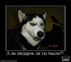 Когда увидел *****а на улице)