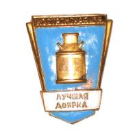 Значки отличия и просто значки времён СССР