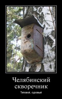 Удивительные птичьи гнезда