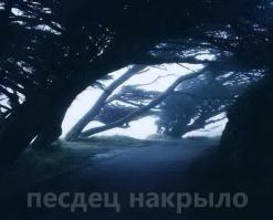 Фишкина солянка за 23.08.2014