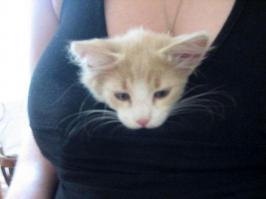 Ну ничего, еще научишься, или научат.