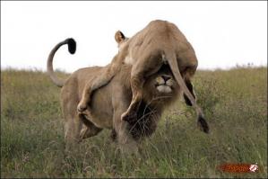 Если любишь, то многое прощается!