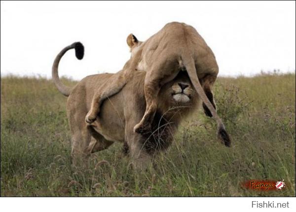 Если любишь, то многое прощается!