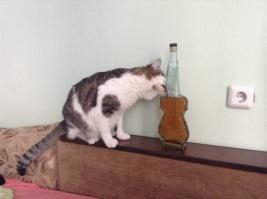 Не-е-е, у нас даже коты знают, что коньяк больше греет!!!