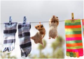 Тебе видней, держись!!!