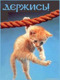 Держись!!!