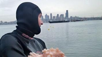 Повезло! А мог бы сам стать кормом для рыб!