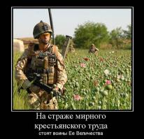 Сейчас от афганских наркотиков ежегодно умирает 30 тысяч россиян призывного возраста, что вдвое превышает количество погибших советских военнослужащих за все 8 лет войны в Афганистане, заявил глава Федеральной службы по контролю за оборотом наркотиков Виктор Иванов. 

"Каждые сутки в стране от него (афганского героина) умирает 82 человека, по сути, призывного возраста, то есть каждый год 30 тысяч человек, что в два раза больше, чем за все десять лет войны в Афганистане", - заявил Иванов. При этом он подчеркнул, что это является только официальными данными. "На деле количество потерь от афганских опиатов в стране значительно выше", - сказал глава ведомства. Он отметил, что, несмотря на рост объемов изымаемых в России наркотиков, из Афганистана в страну контрабандой ввозится огромное количество героина. "Из Афганистана в Россию контрабандно ввозится и потребляется гражданами нашей страны не менее 12 т чистого героина. 12 т чистого героина - это 3 млрд разовых доз", - сказал Иванов. По масштабам ущерба от афганских наркотиков есть все основания считать, что афганский героин является "особым видом оружия массового поражения", заявил глава Госнаркоконтроля. Причем это оружие "селективного действия, направленного на молодежь, будущее нашей страны", сказал Иванов.

После начала операции "Несокрушимая свобода" и введения в Афганистан военных контингентов США и НАТО в 2001 г. производство опиатов за семь лет выросло в 44 раза.