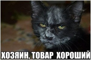 Упоротые картинки