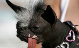 Упоротые картинки